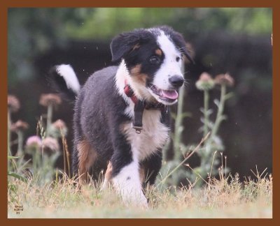 monty-733-6-25-10b.JPG