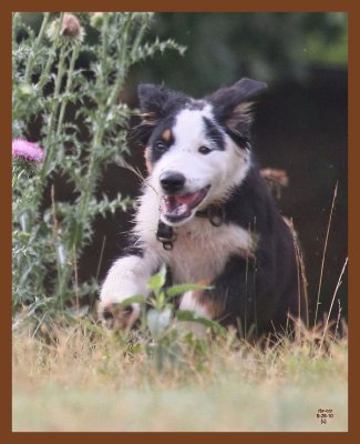 monty-736-6-25-10b.JPG