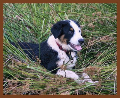 monty-211-6-27-10b.JPG