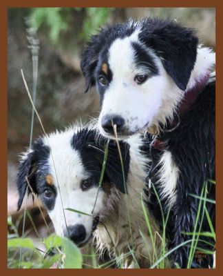mallie-monty-422-6-27-10b.JPG