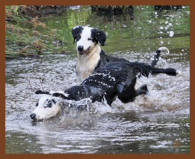 mallie-monty-624-6-28-10b.JPG