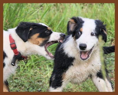 mallie-monty-551-6-28-10b.JPG