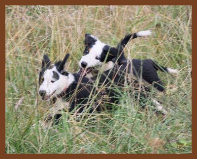 mallie-monty-583-6-28-10b.JPG