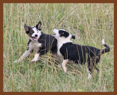 mallie-monty-580-6-28-10b.JPG