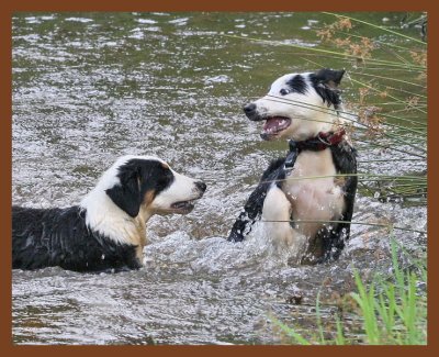 mallie-monty-645-6-28-10b.JPG