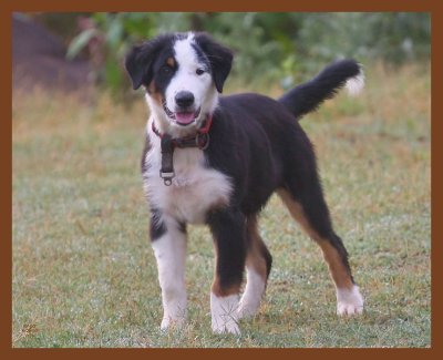 monty-726-6-25-10b.JPG
