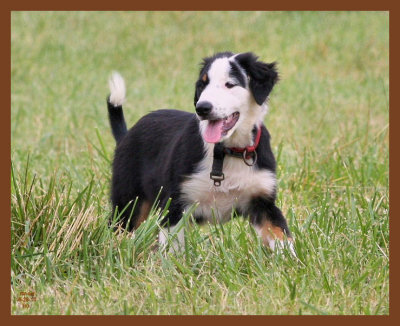 monty-711-6-28-10b.JPG
