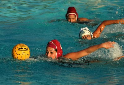 WC Bulldogs Girls Water Polo.