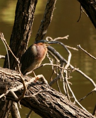 IMG_8255.jpg