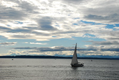 DSC_0504.JPG