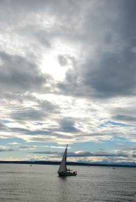 DSC_0505.JPG