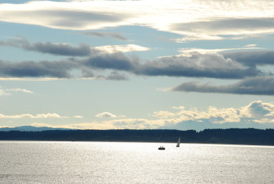 DSC_0517.JPG