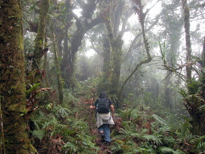 DSCN0832.JPG