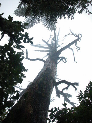DSCN0846.JPG