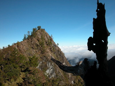 Barlig: Mt. Amuyao 2004