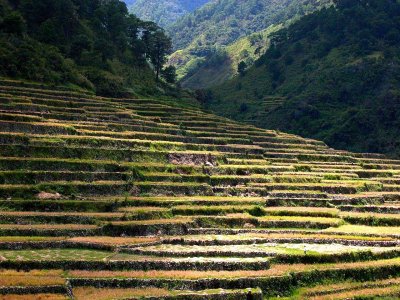 Bontoc: bontoc