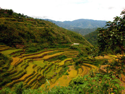 Malegcong-Rice-Terraces-11.jpg