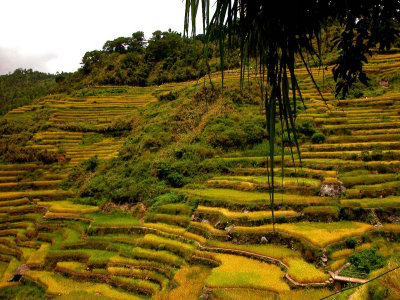 Malegcong-Rice-Terraces-16.jpg