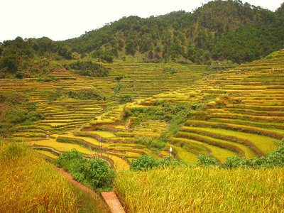 Malegcong-Rice-Terraces-25.jpg