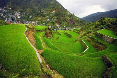 Barlig Tawid: ricefields