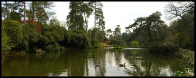 UK garden lakes