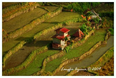 Banaue