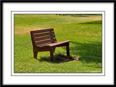 _MG_4260 HDR4.jpg