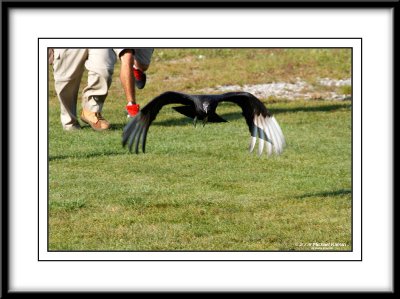_MG_0723.jpg