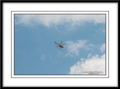 _DSC7923Crop.jpg