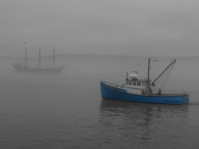 Foggy Harbor_0878 Selective Color