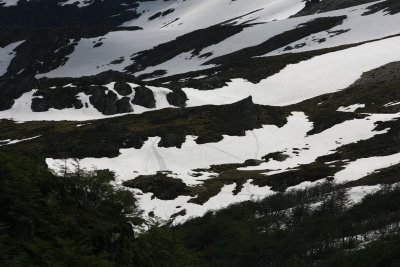 14 Lago Escondido Ushuaia area Argentina 20101112a.jpg