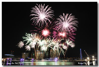 NYE 2009 fireworks 011.jpg
