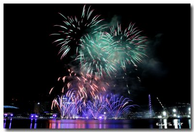 NYE 2009 fireworks 016.jpg