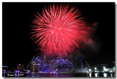 NYE 2009 fireworks 017.jpg