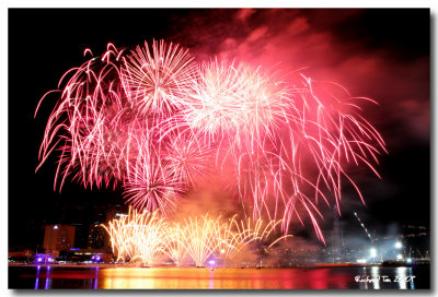 NYE 2009 fireworks 021.jpg