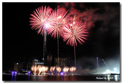 NYE 2009 fireworks 047.jpg