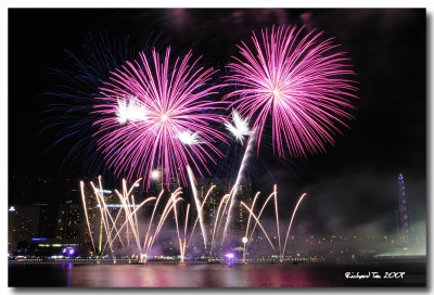 NYE 2009 fireworks 048.jpg