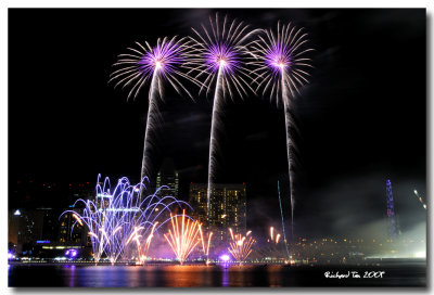 NYE 2009 fireworks 049.jpg