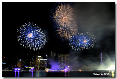 NYE 2009 fireworks 057.jpg