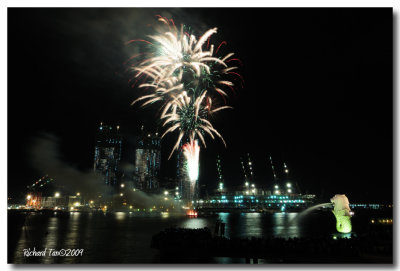 NDP Fireworks 187.jpg