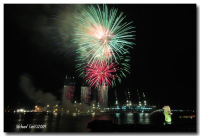 NDP Fireworks 189.jpg