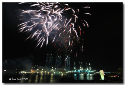 NDP Fireworks 204.jpg