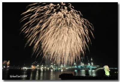 NDP Fireworks 206.jpg