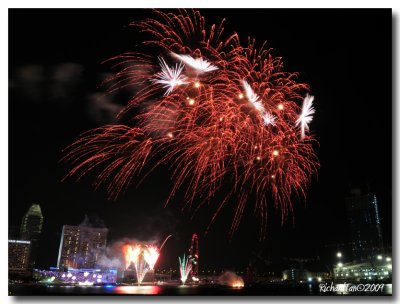 NDP_Fireworks 121.jpg