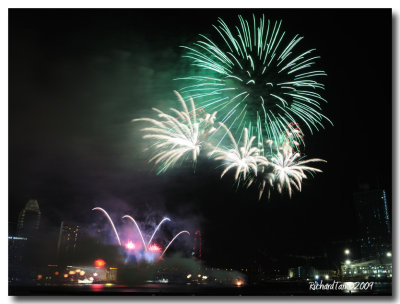 NDP_Fireworks 139.jpg