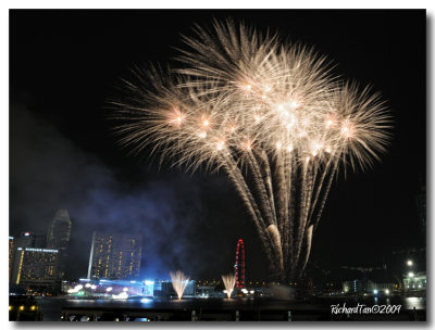 NDP_Fireworks 156.jpg
