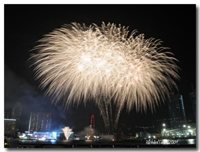NDP_Fireworks 158.jpg