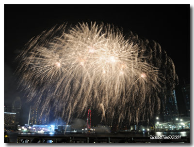 NDP_Fireworks 159.jpg
