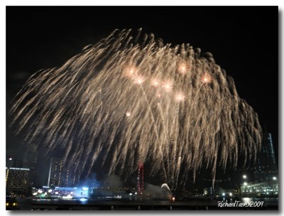 NDP_Fireworks 160.jpg