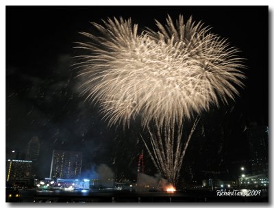 NDP_Fireworks 161.jpg